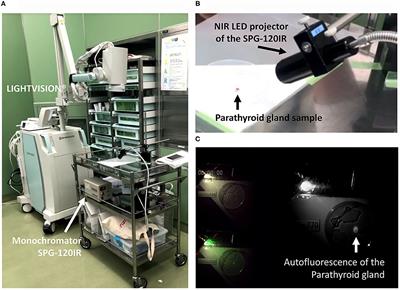 Determination of the Optimum Excitation Wavelength for the Parathyroid Gland Using a Near-Infrared Camera